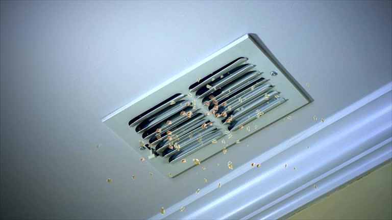 Best HVAC Air Duct Cleaning  in Blue Ridge, AL