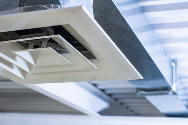 Best Air Duct Inspection  in Blue Ridge, AL
